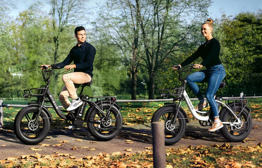 Engwe E-Bikes : Innovants, Puissants et Abordables