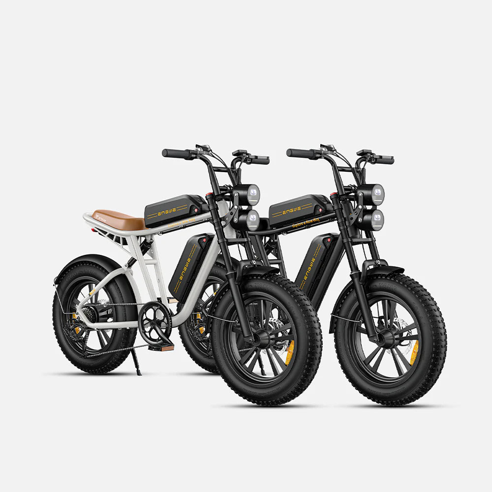 102-ENGWE M20 E-bike