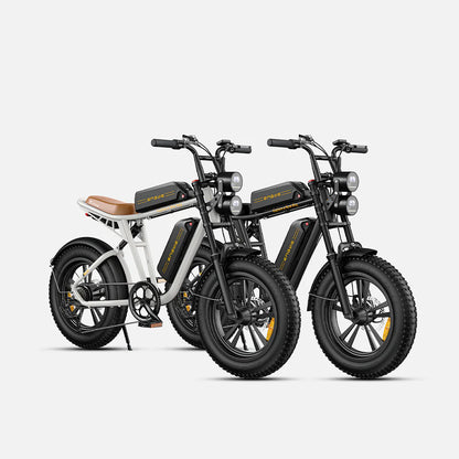 102-ENGWE M20 E-bike