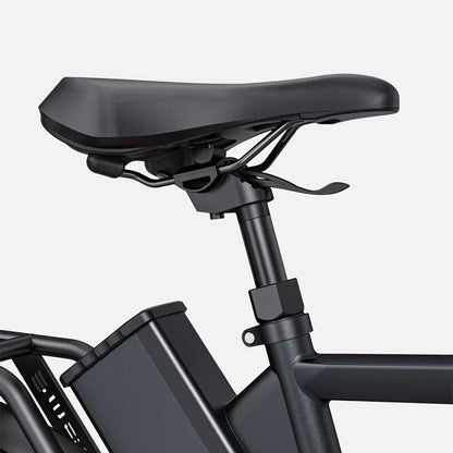 121-ENGWE P275 Pro Ebike