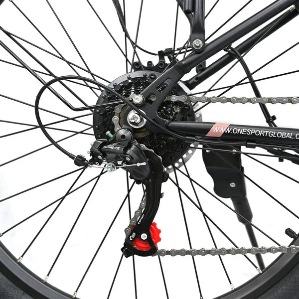 202-Onesport OT18-3 E-bike