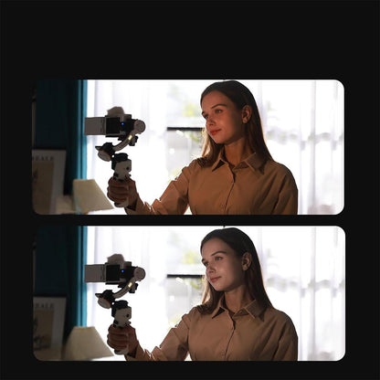 2004-Zhiyun Crane M3