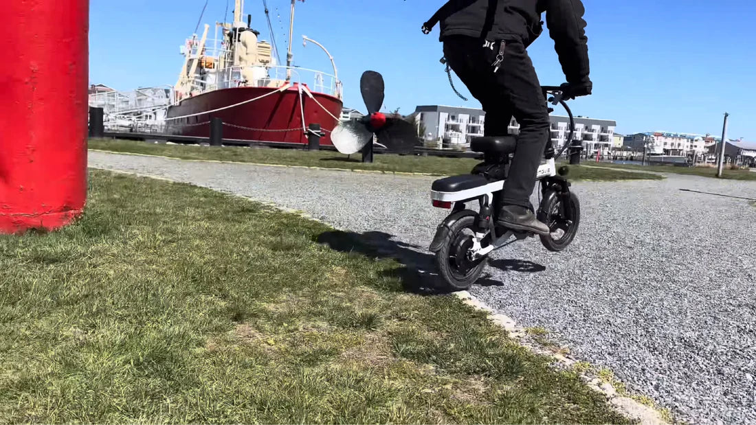 Charger la vidéo : 