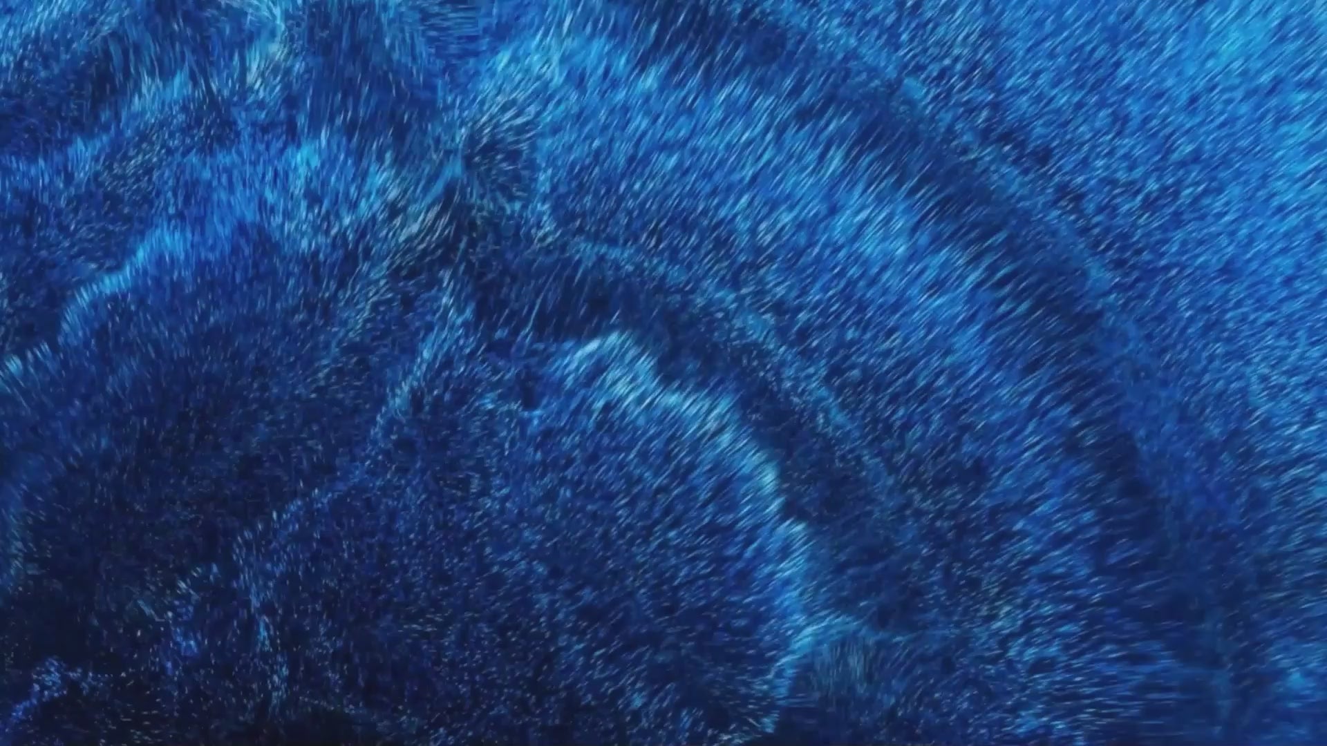 Charger la vidéo : 